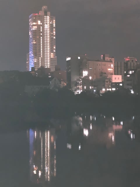 夜の広島 京橋川の夜景です 今年は忘年会もなく寂しい年末になりそうですね 能率技師のメモ帳 中小企業診断士 社会保険労務士のワクワク広島ライフ