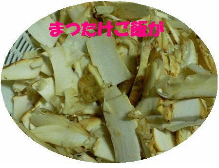 贅沢なご飯です 熊子通信 贅沢なご飯です 熊子通信