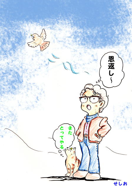 イメージ 1