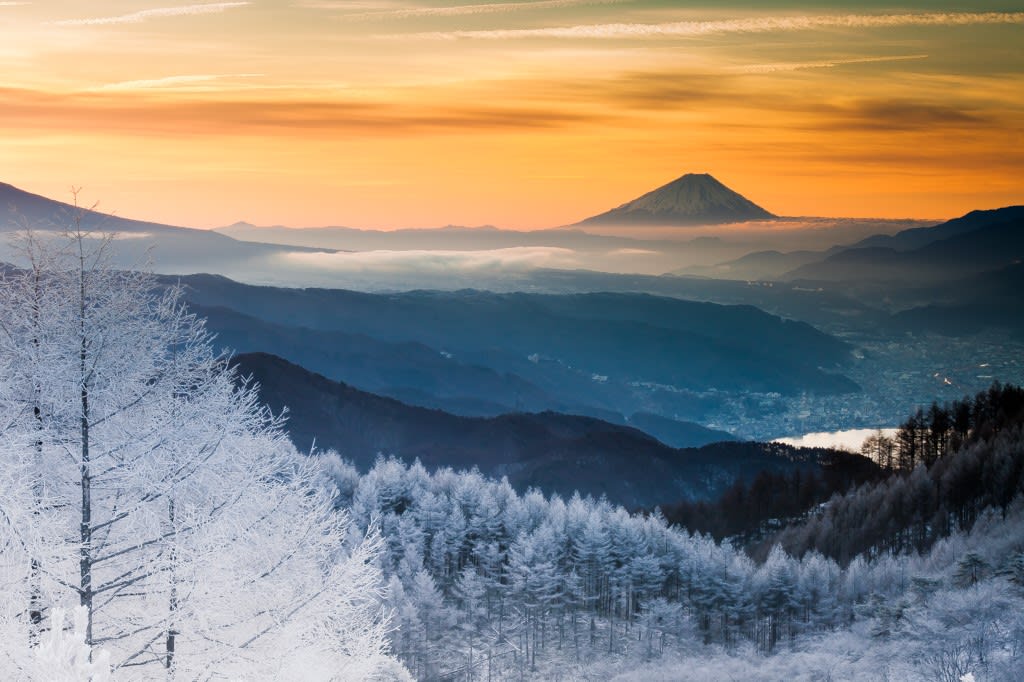 富士山と霧氷の写真