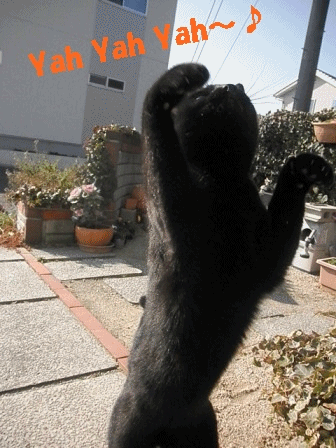 11年2月のブログ記事一覧 2ページ目 レオままの気まぐれ猫日記 11年2月のブログ記事一覧 2ページ目 レオままの気まぐれ猫日記