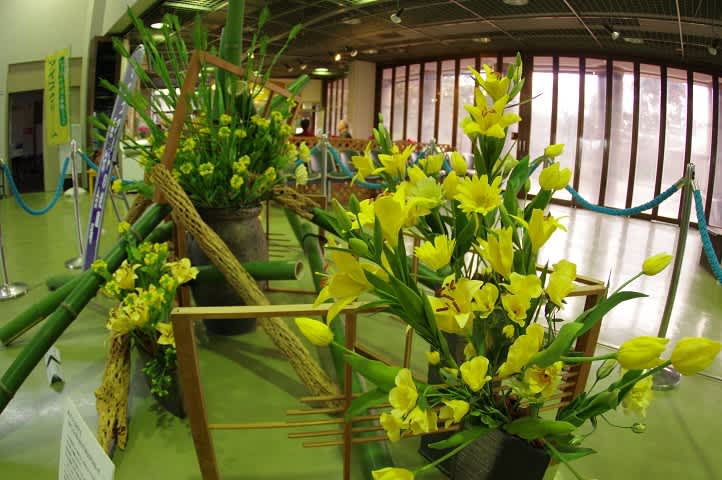 マスコアートの花展 荒子川公園の日記 マスコアートの花展 荒子川公園の日記