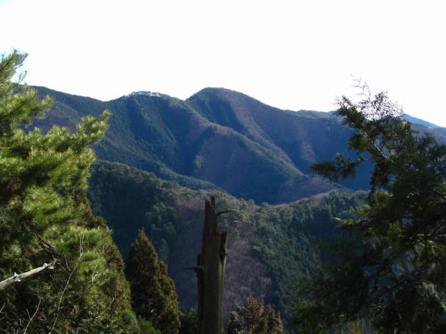 ハイトスさん たそがれさんと辿ったシブ尾根歩き 田沼町 石尊山 大久保山 日光山系 ななころびのあの山の向こうに