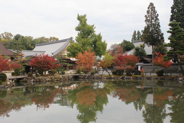 koyo20151107004.jpg