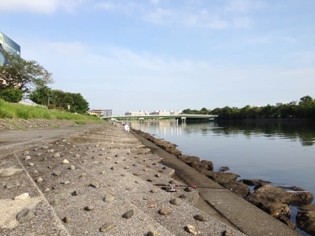 夏釣りハゼ釣り 釣り日和 多摩川 江戸川 ボウズ日記 夏釣りハゼ釣り 釣り日和 多摩川 江戸川 ボウズ日記