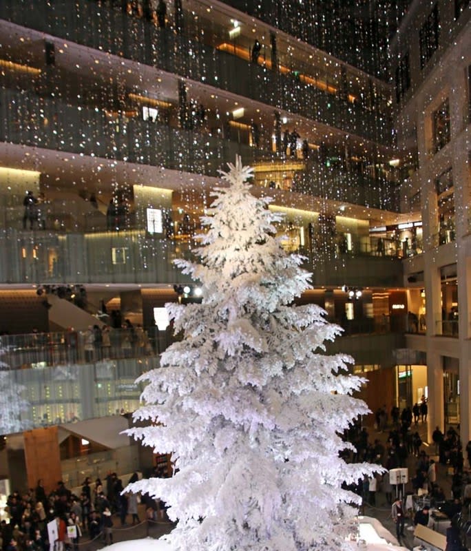 日本最大(屋内)級の高さ約14.5mのもみの木～雪を降らせるクリスマス 