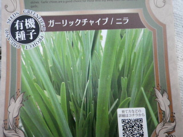 ガーリックチャイブ 畑 野菜の記録