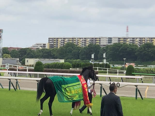 限定価格】ソングライン 出資者限定ジャンパー 競馬 55%以上節約
