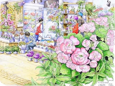 吉祥寺の花屋さん おさんぽスケッチ にじいろアトリエ 水彩 色鉛筆イラスト スケッチ