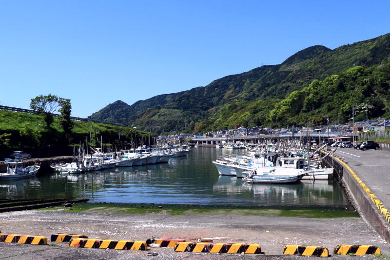 桜エビの画像