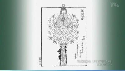 NHK「日めくり万葉集」巻10-1939・於吾欲得 - 思考の部屋