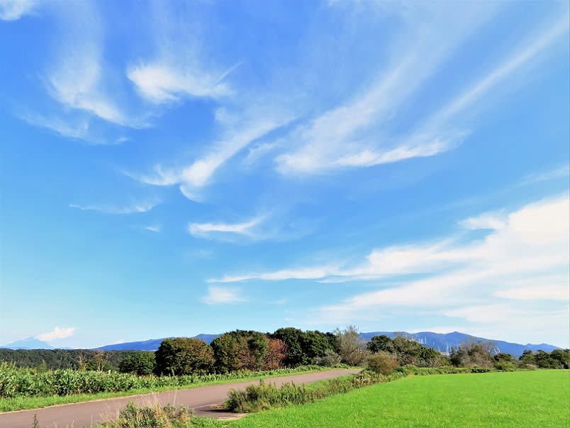 朝の空景色 グリーンフォレスト 歳時日記
