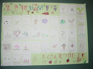 夏の自然 生き物新聞 夏号 理科 長浜南小学校４年生のページ