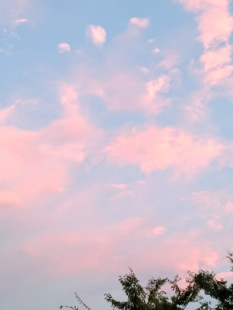 ピンク色の雲 日がな一日