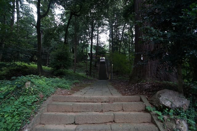 DSC02101.jpg