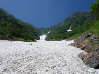 大樺沢