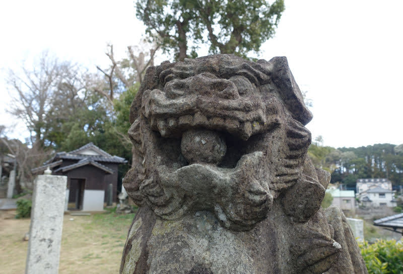 赤間神社の狛犬