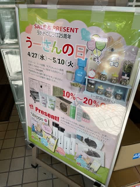 きららん きららん