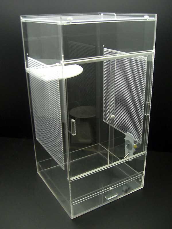 フクロモモンガ飼育ケースブログ - かものはしのハッシイ