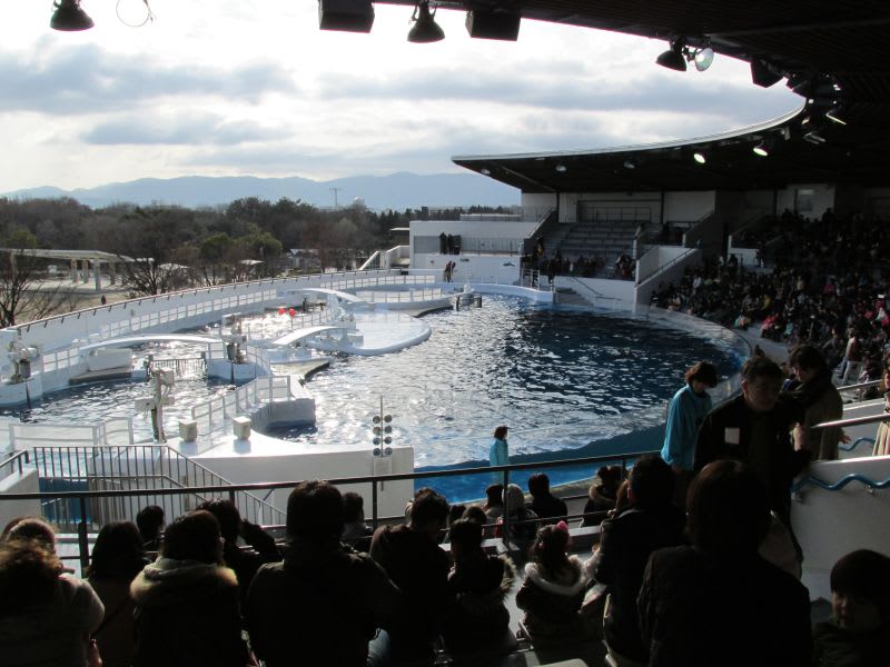Img_1597_800 Img_1597_800