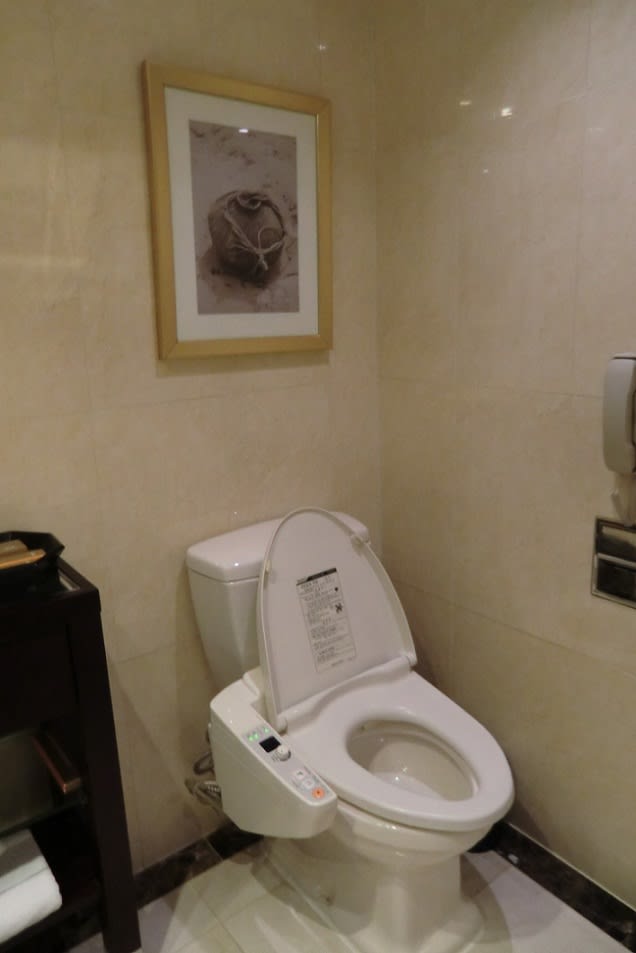 このトイレが韓国体験で一番のカルチャーショック！ ((((；゜Д゜)))) ぱくぱくるんるんぱくぱくるんるん