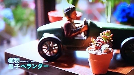 ドラマ 植物男子ベランダー Season1 14 全１３話 Vol 1 メランコリア
