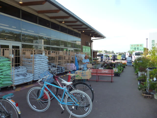 ここから寒川のセリアまで自転車で何キロ