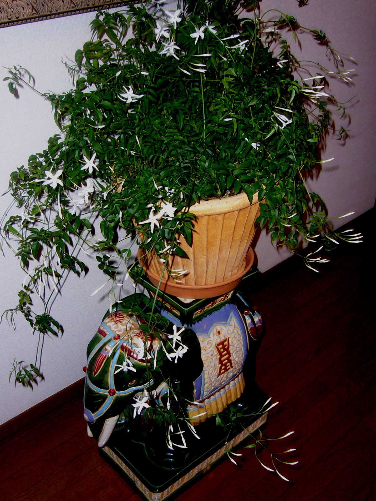 https://blogimg.goo.ne.jp/user_image/1f/a8/081586aa7379db679b1f381feb2c14dd.jpg