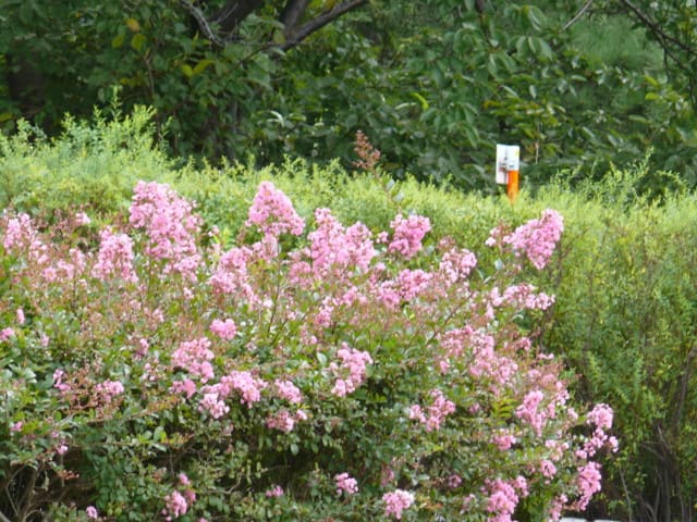 P3800512