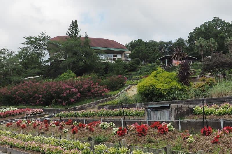和歌山県植物園 緑化センター 気ままな山旅 和歌山県植物園 緑化センター 気ままな山旅