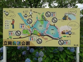 立岡自然公園 熊本県宇土市 だいぢのeasybassing