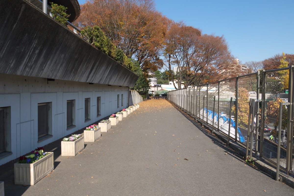 １２月の神宮外苑 室内プールスケート場と大江戸線国立競技場駅 ｐａｒｔ１ 緑には 東京しかない