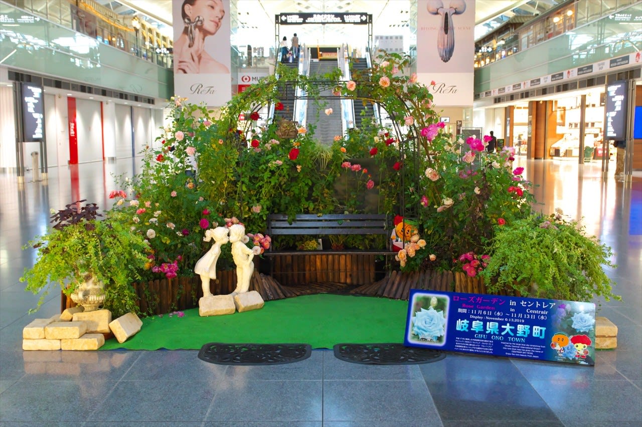 19年11月09日 中部国際空港１ 快晴のセントレア 飛行機さつえい奮闘記