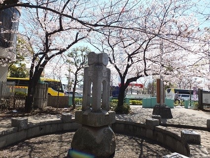 山谷堀公園 桜橋 隅田川公園 言問橋 浅草寺 へたな写真好き