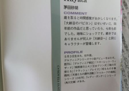 茅田砂胡著 パピヨンルージュと嵐の星 海賊と女王の航宙記 中央公論新社 夢見るババアの雑談室