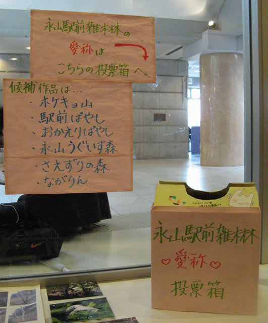 投票箱