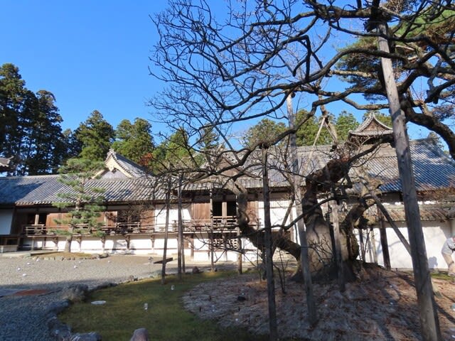 瑞巌寺（ずいがんじ）　玄関（げんかん）　南西 破風（はふ）　梅鉢懸魚（うめばちげぎょ）