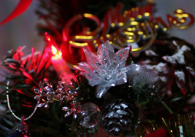 メリークリスマス 動画も作りました 金沢から発信のブログ 風景と花と鳥など