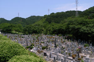 山