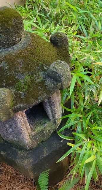 村雨庵 茶の湯日記