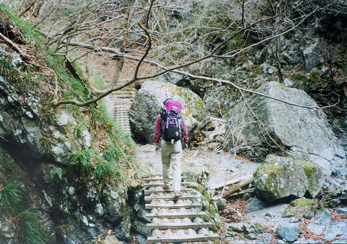 奥多摩 早春の川苔山 川乗山 四季 山夢 奥多摩 早春の川苔山 川乗山 四季 山夢