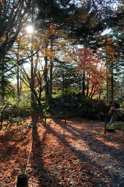 年10月末 帯広 真鍋庭園の紅葉 北海道美術ネット別館