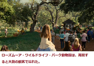 映画 幸せへのキセキwe Bought A Zoo １１ 劇場公開２０１２年６月 Wind Socks