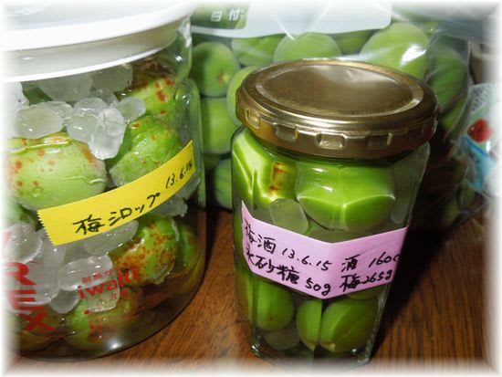 梅シロップと梅酒 2013年6月15日