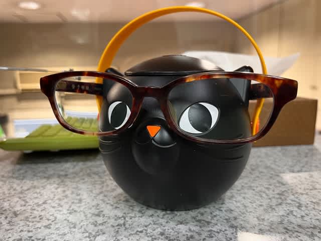 アウル 2025 Funny Owl Calendar, Silly Owl Wall Calendar, Home