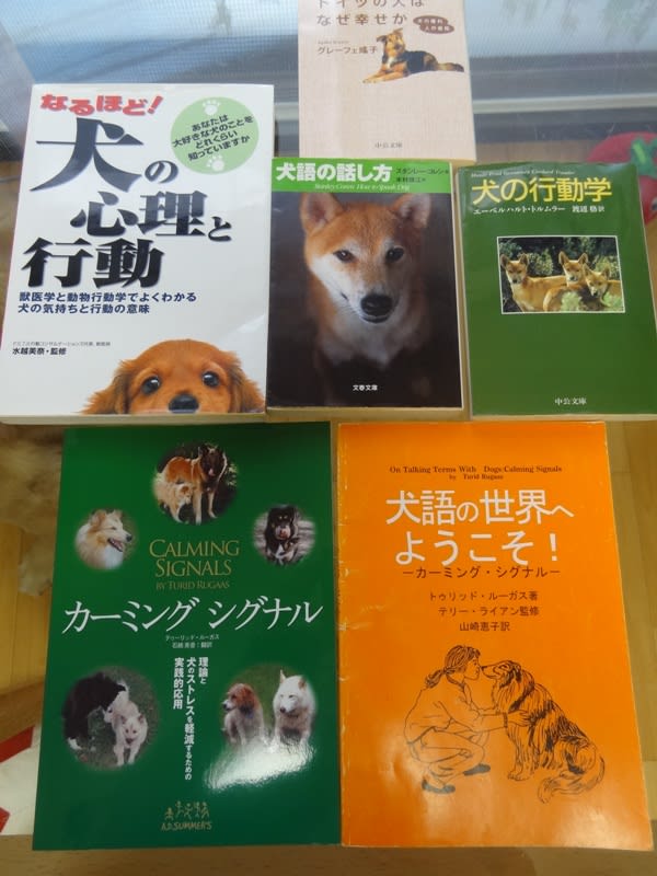 カーミング　シグナル Vintage Speed Gear Knob with Stock Shift Pattern Grey 10mm