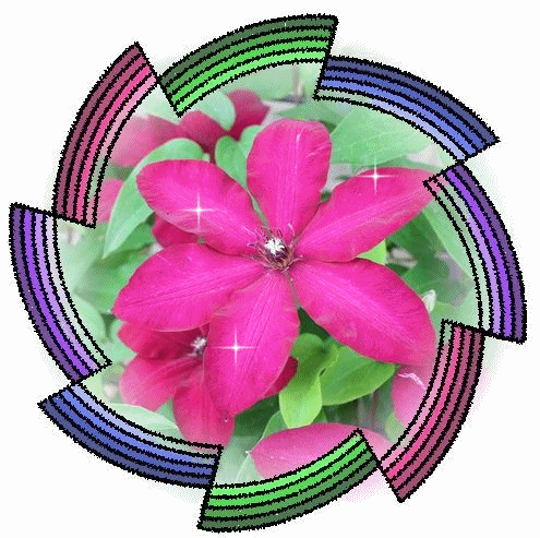 回れ回れ風車 ぺんぺん草の庭から