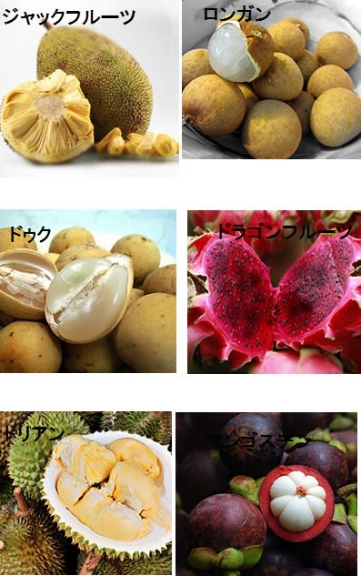 南国フルーツ シンガポールの市場 マクロビオティックサロンことこと 加古川市の発酵と薬膳の料理教室 Http Www Kotokoto Net 南国フルーツ シンガポールの市場 マクロビオティックサロンことこと 加古川市の発酵と薬膳の料理教室 Http Www Kotokoto Net