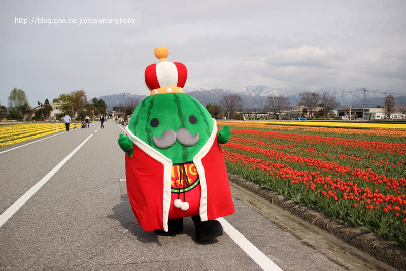 ジャンボール３世 メルギューくん メルモモちゃん 富山発 四季折々の風景写真