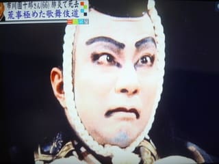 12代目 市川團十郎 2 にらみ1 つわぶきの庭 12代目 市川團十郎 2 にらみ1 つわぶきの庭
